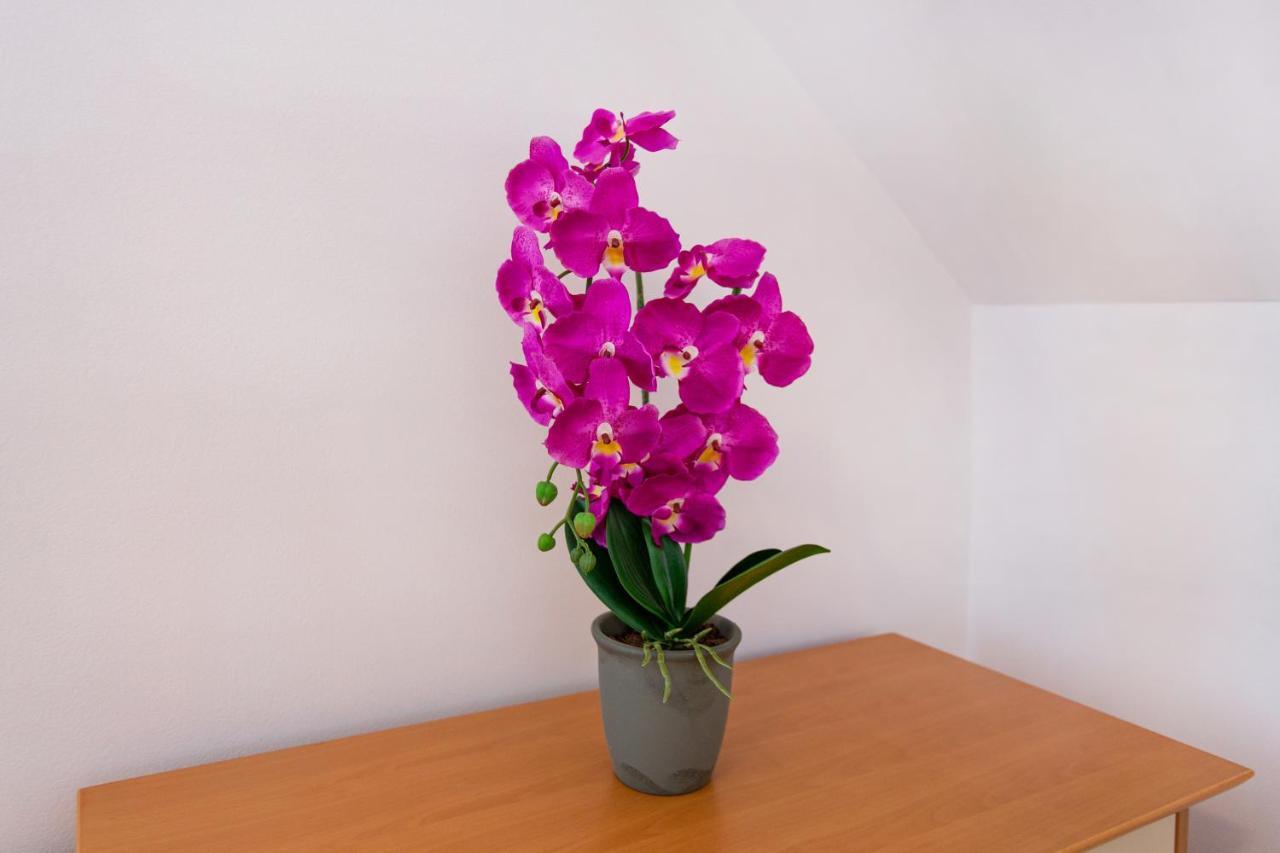 Orchid Room Kranj Zewnętrze zdjęcie